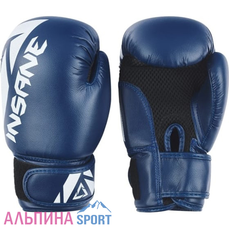 Перчатки боксерские INSANE MARS IN22-BG100 ПУ синий