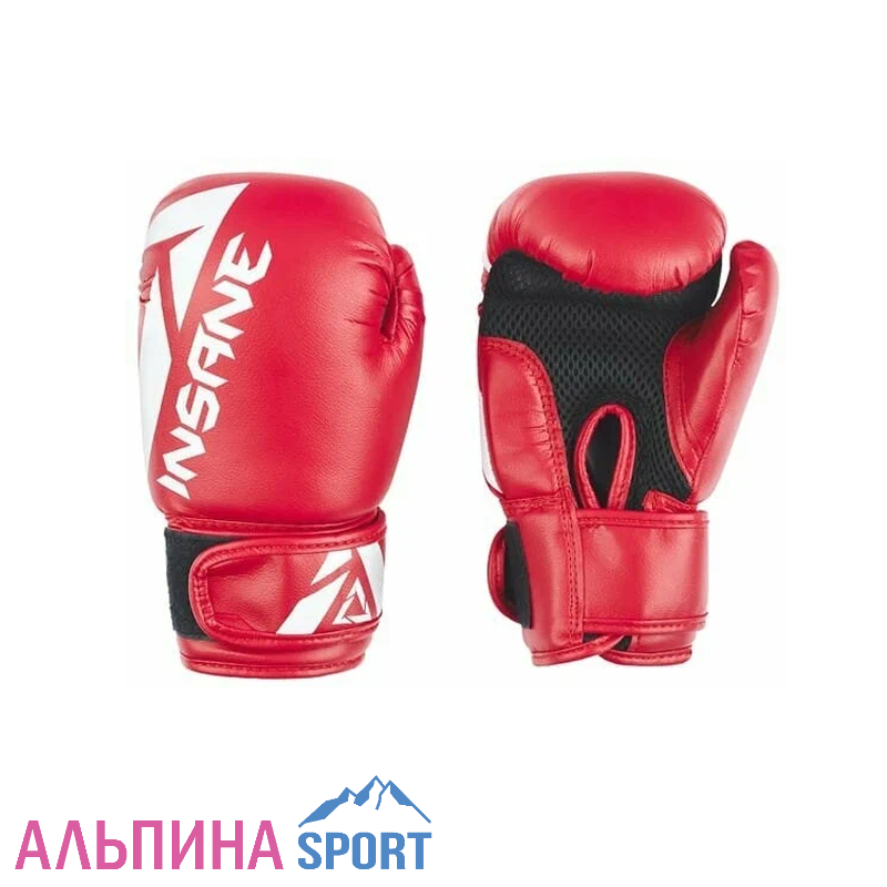 Перчатки боксерские INSANE MARS IN22-BG100 ПУ красный
