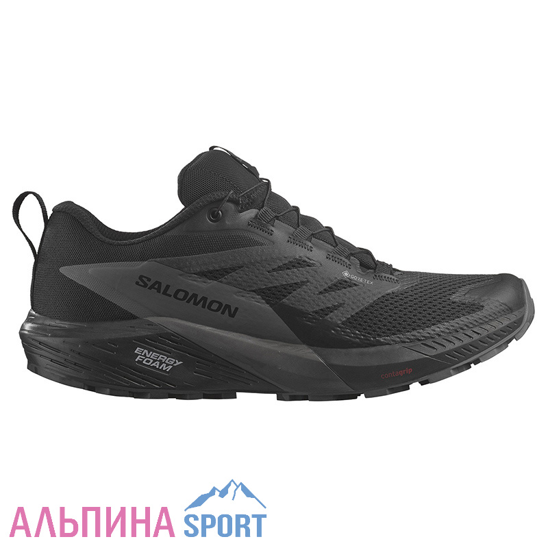 Кроссовки Salomon SENSE RIDE 5 GTX Black/Magnet/Black