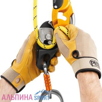 Petzl-RIG-2