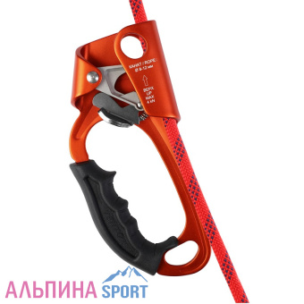IMG-9240-900х900