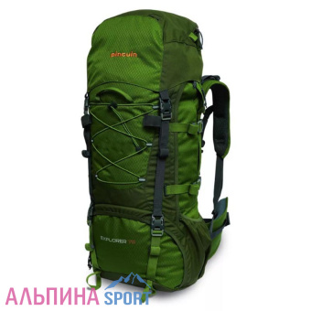 Pinguin-Explorer-100