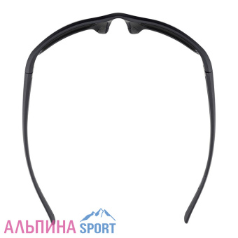 Очки солнцезащитные ALPINA Defey Black Matt Black Cat.3_v04