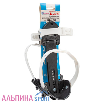 Цикл