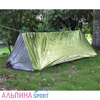 acecampterm (2)
