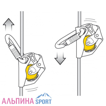 Petzl-ASAP-karabin-3