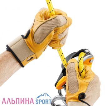 Petzl-RIG-4