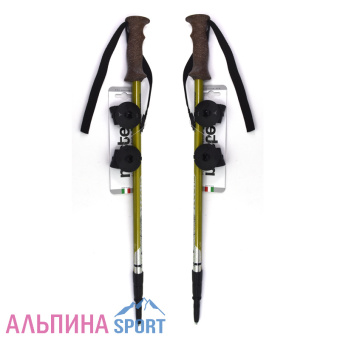 Masters-Scout-ph2
