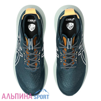Кроссовки мужские Asics GEL-NIMBUS 27 TR_v06