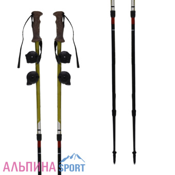 Masters-Scout-ph1