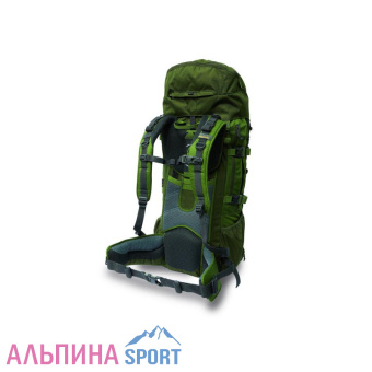 pinguinexplorer100 (2)