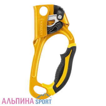 Petzl-ASCENSION-rith