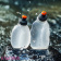 Бутылка питьевая Aonijie SD05 170 мл_v06 Бутылка питьевая Aonijie SD05 170 мл_v06