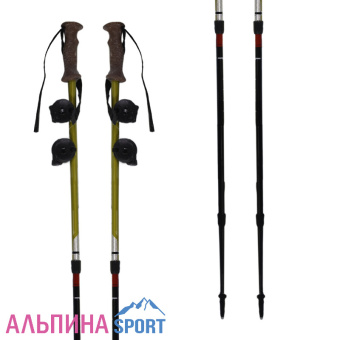 Masters-Scout-ph1