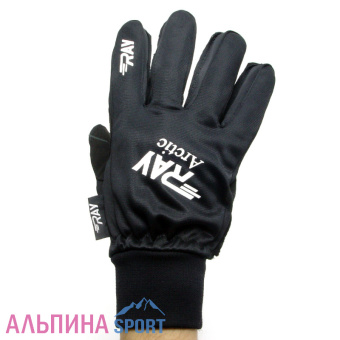 RAY-arctic-1