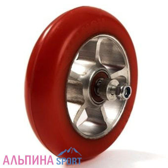 100х24-поли